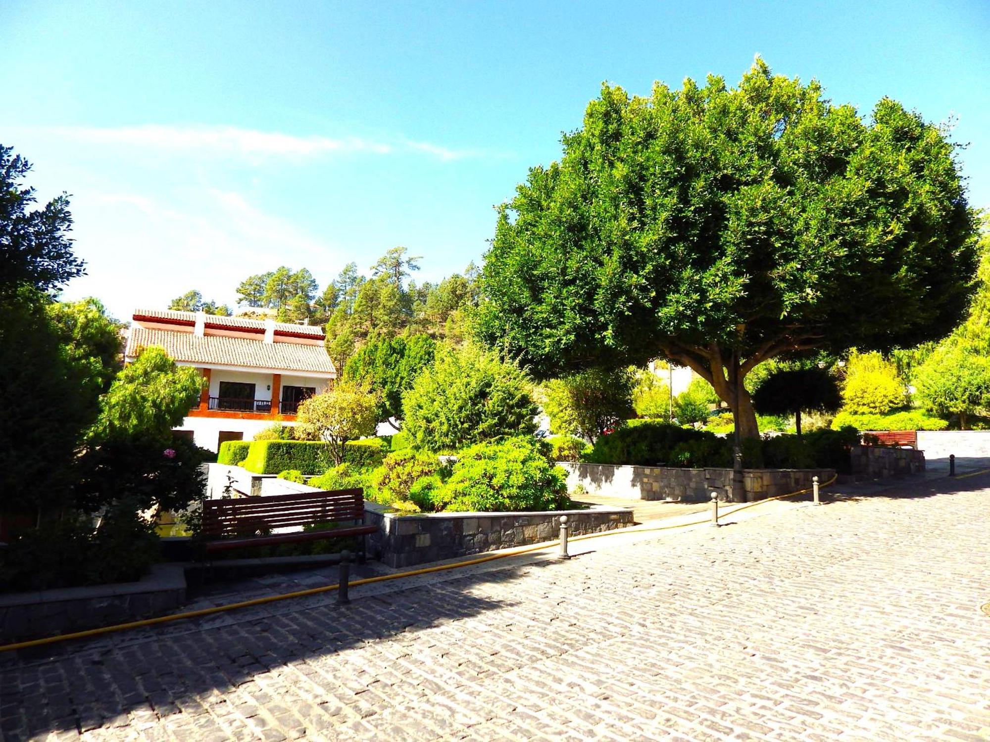 Ziggys Mountain Retreat (Adults Only) Vilaflor Exterior foto